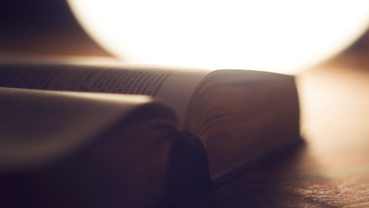 Why Translating the Bible in Every Language Matters